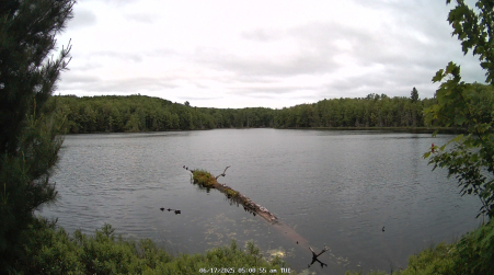 Image from 2025-06-17