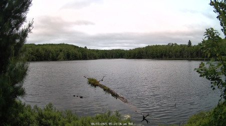 Image from 2025-06-17