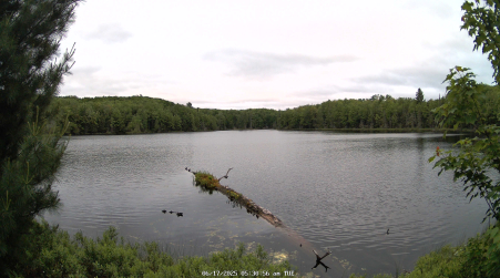 Image from 2025-06-17