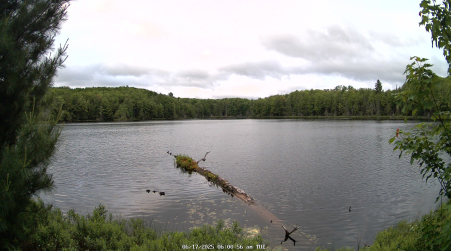 Image from 2025-06-17