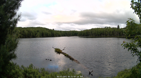 Image from 2025-06-17