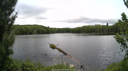 Image from 2025-06-17