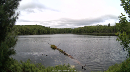 Image from 2025-06-17