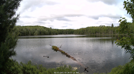 Image from 2025-06-17