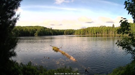 Image from 2025-06-17