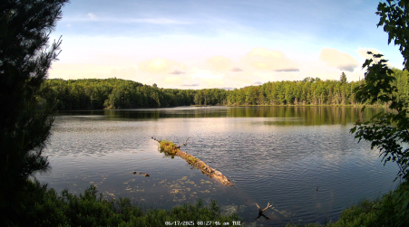 Image from 2025-06-17