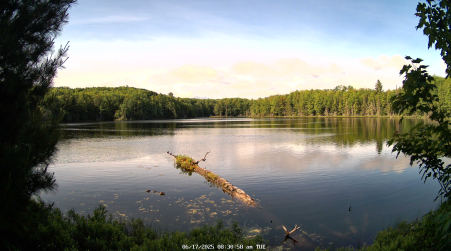 Image from 2025-06-17