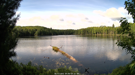 Image from 2025-06-17
