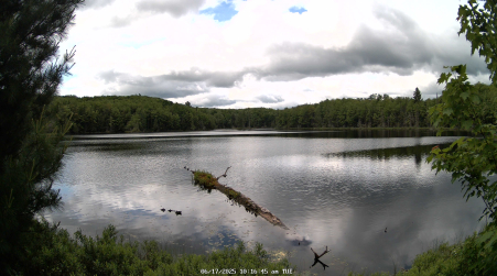 Image from 2025-06-17