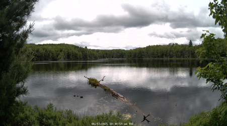 Image from 2025-06-17