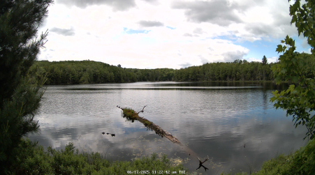 Image from 2025-06-17