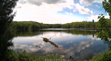 Image from 2025-06-17