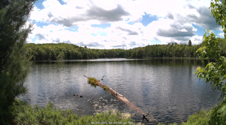 Image from 2025-06-17