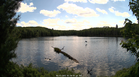 Image from 2025-06-17
