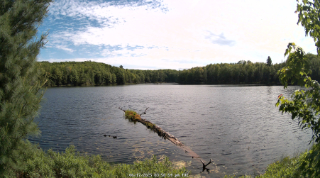 Image from 2025-06-17