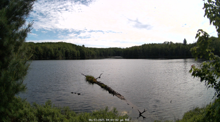 Image from 2025-06-17