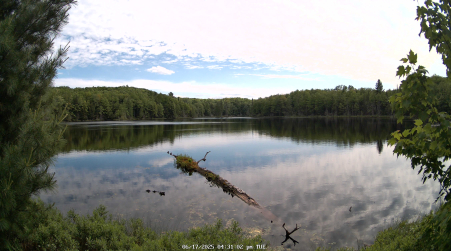 Image from 2025-06-17