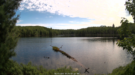 Image from 2025-06-17