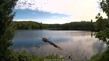 Image from 2025-06-17