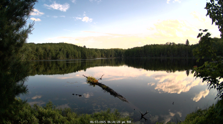 Image from 2025-06-17