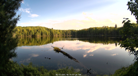 Image from 2025-06-17