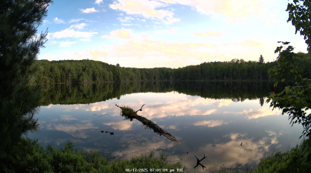 Image from 2025-06-17