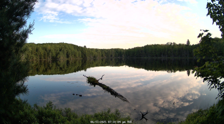Image from 2025-06-17