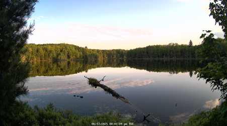 Image from 2025-06-17