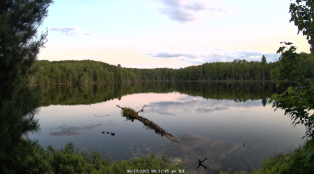 Image from 2025-06-17