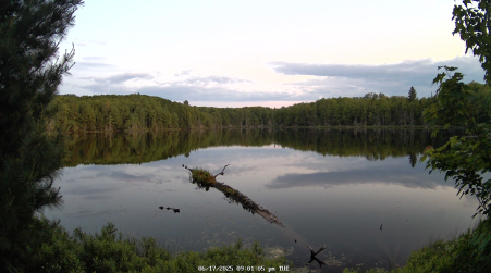 Image from 2025-06-17