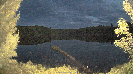 Image from 2025-06-17