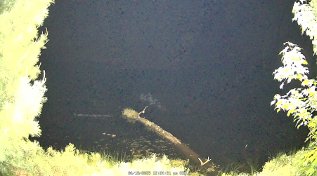 Image from 2025-06-18