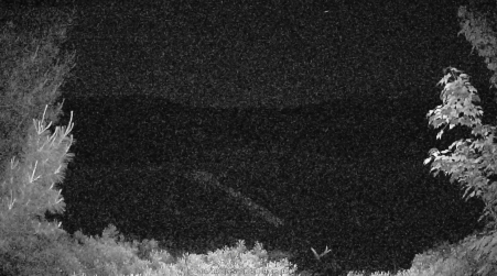 Image from 2025-06-18