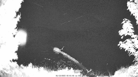 Image from 2025-06-18