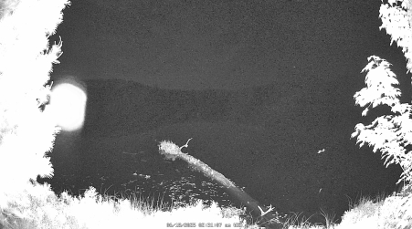 Image from 2025-06-18