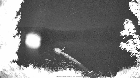 Image from 2025-06-18