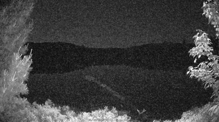 Image from 2025-06-18