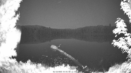 Image from 2025-06-18