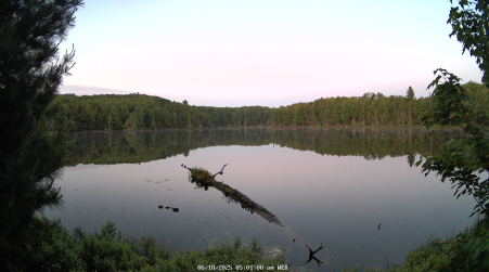 Image from 2025-06-18
