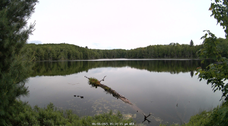 Image from 2025-06-18