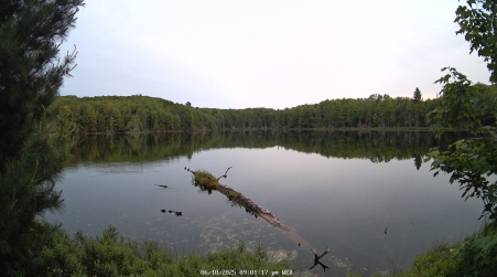 Image from 2025-06-18