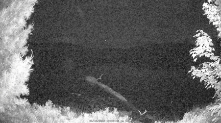 Image from 2025-06-18