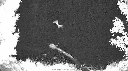 Image from 2025-06-18
