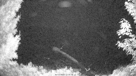 Image from 2025-06-19