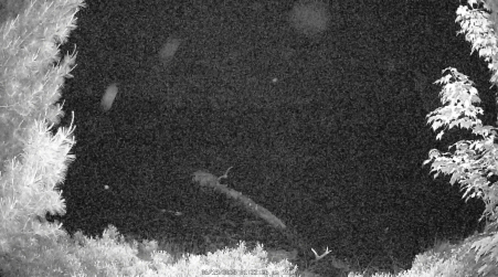 Image from 2025-06-19
