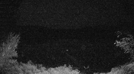 Image from 2025-06-19