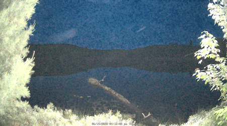 Image from 2025-06-19