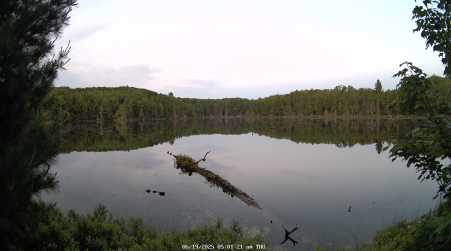 Image from 2025-06-19
