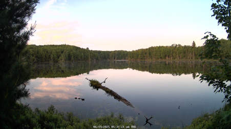 Image from 2025-06-19