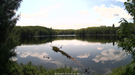 Image from 2025-06-19
